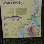 Watts landing