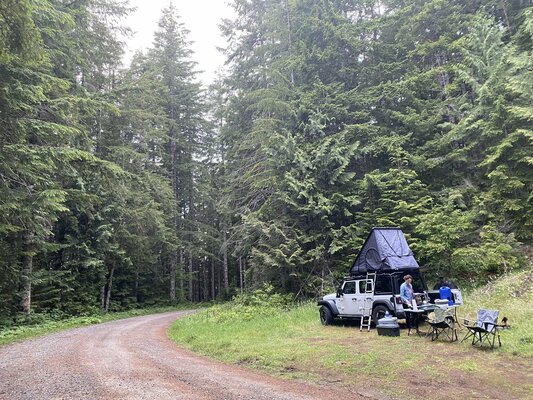 Quinault Ridge Road Dispersed Camping