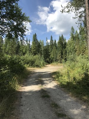Canyon Creek Dispersed Camping photo 2
