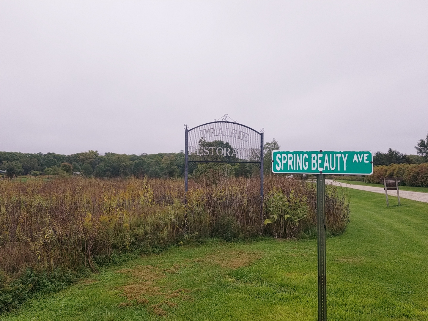 Pioneer Ridge Nature Area Campground