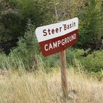 Steer basin