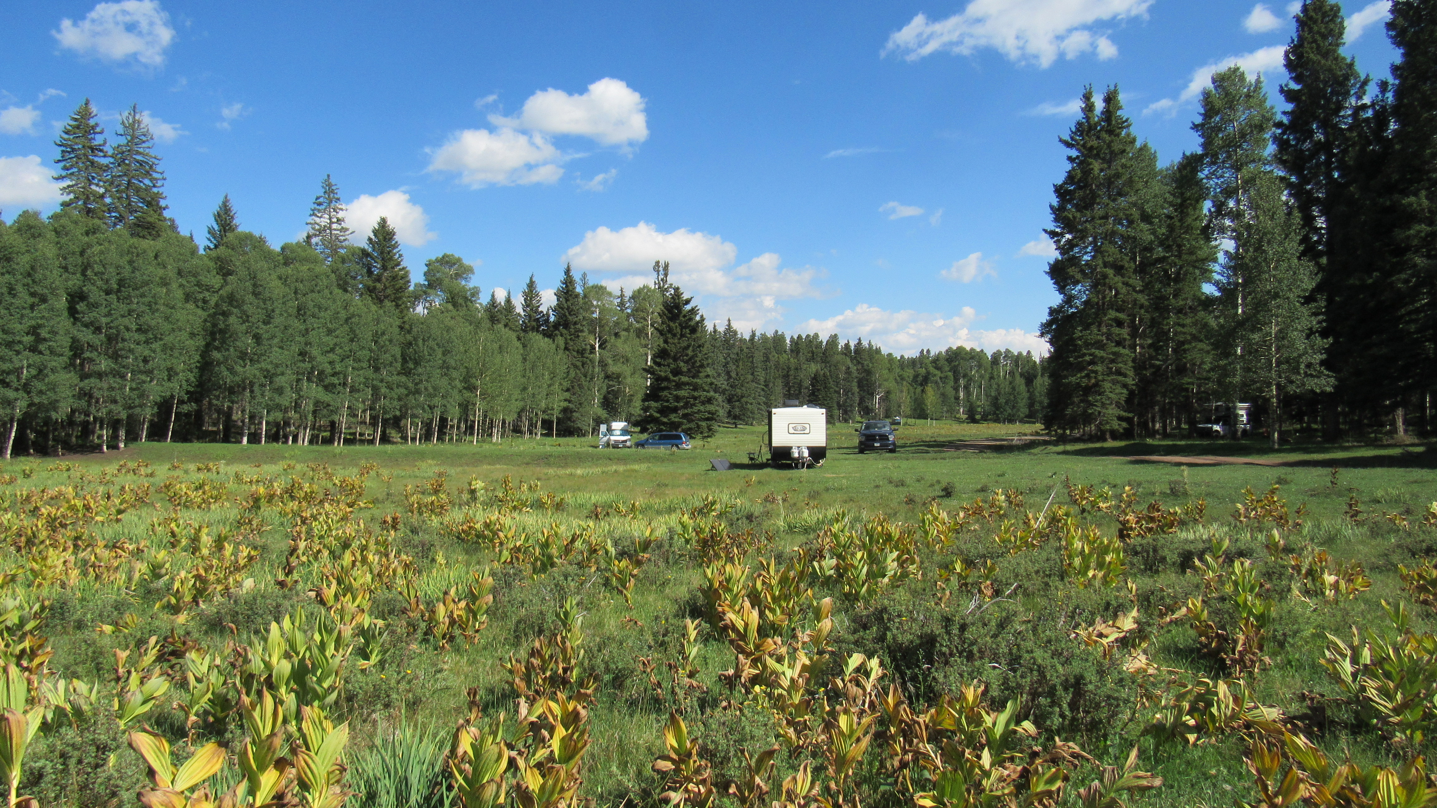 Fernand de Taos Dispersed Camping