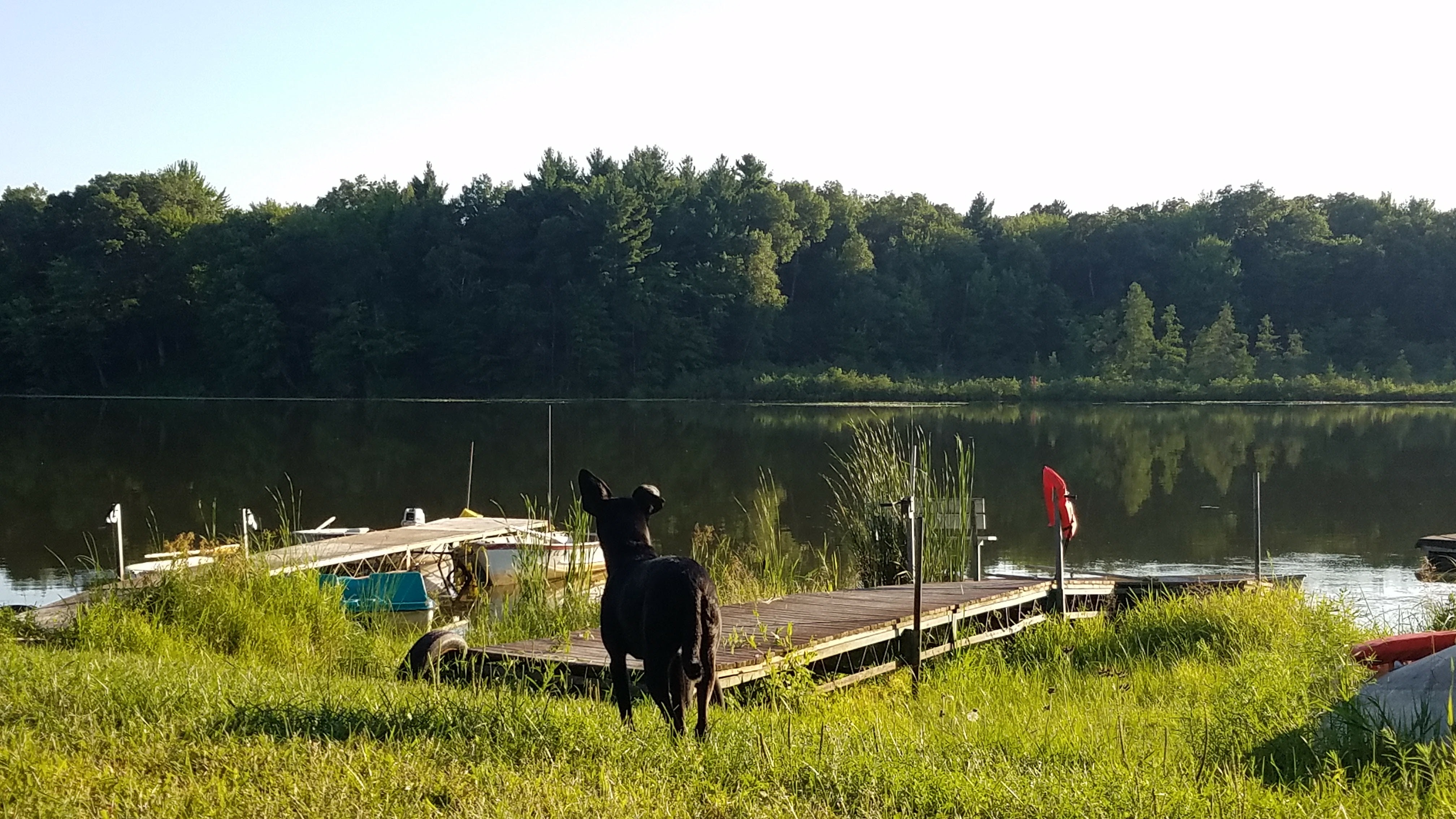 Bashaw Lake Resort Reviews updated 2024