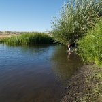Crab creek rocky ford