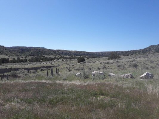 Cottonwood Draw WMA Dispersed Camping photo 2