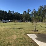 Live oak landing stockton al