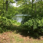 Laurel run rd