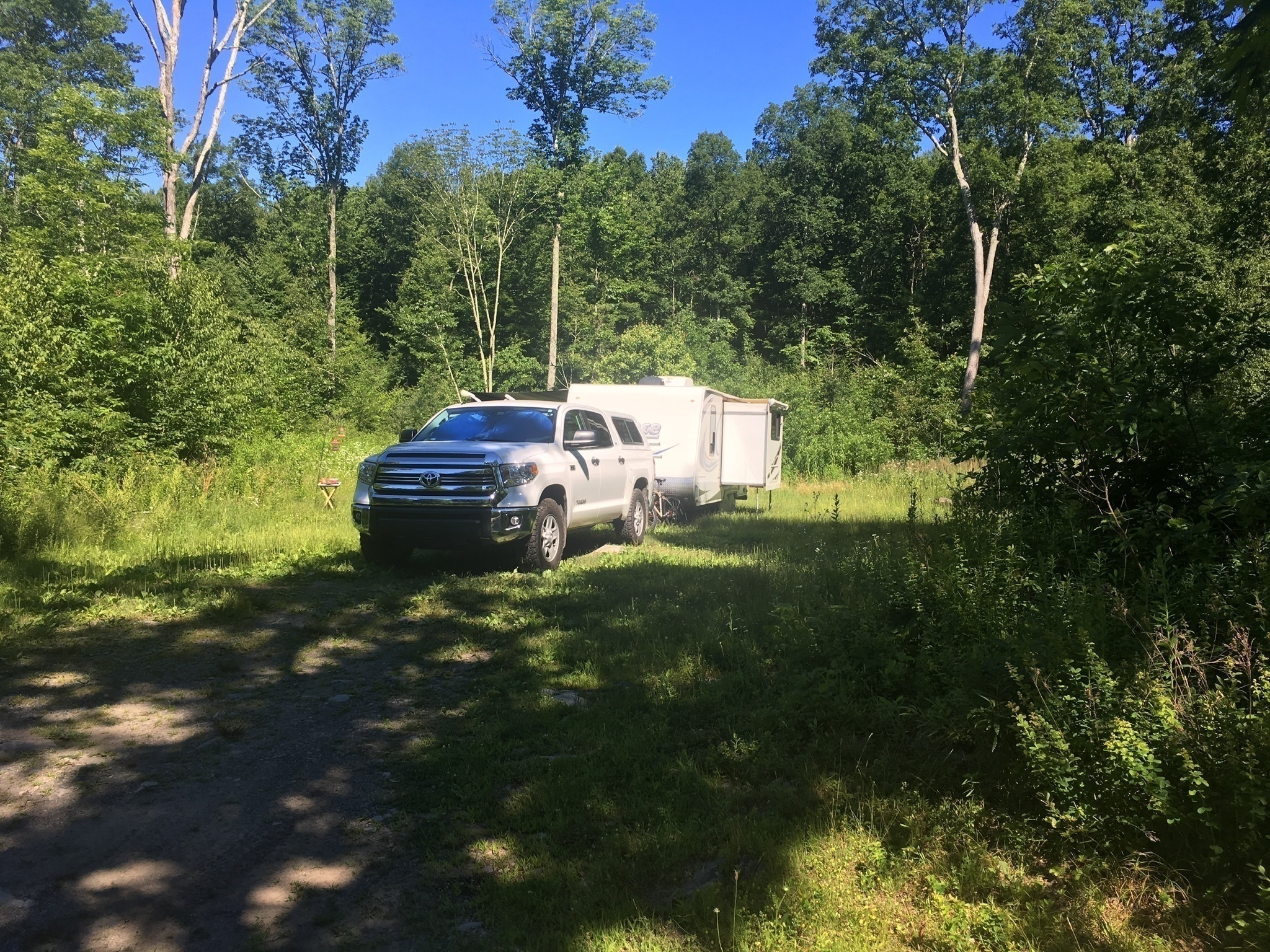 Brodhead Creek Designated Dispersed Campsite 5 Reviews updated 2024