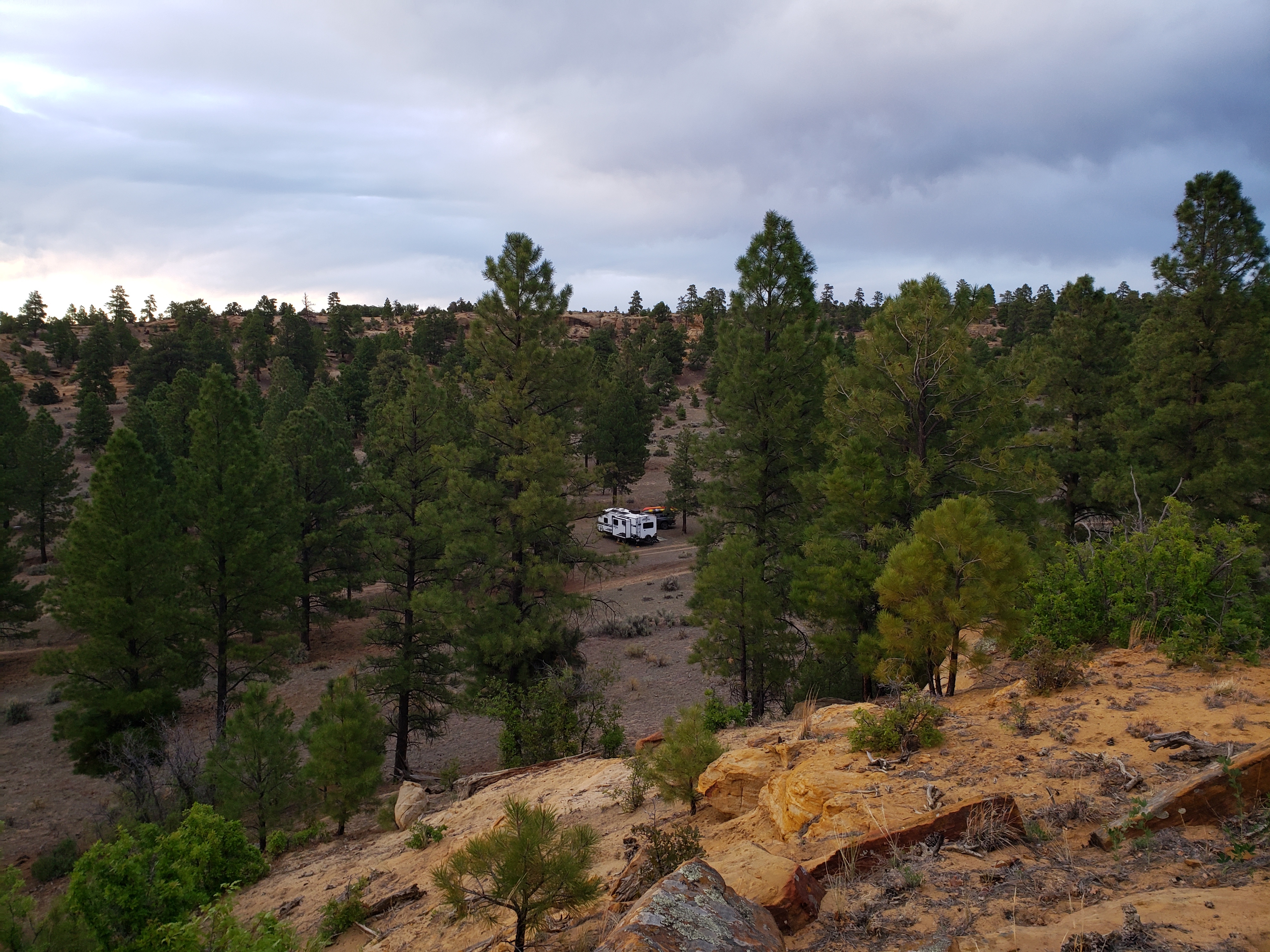 Mesa De Cuba Dispersed Camping