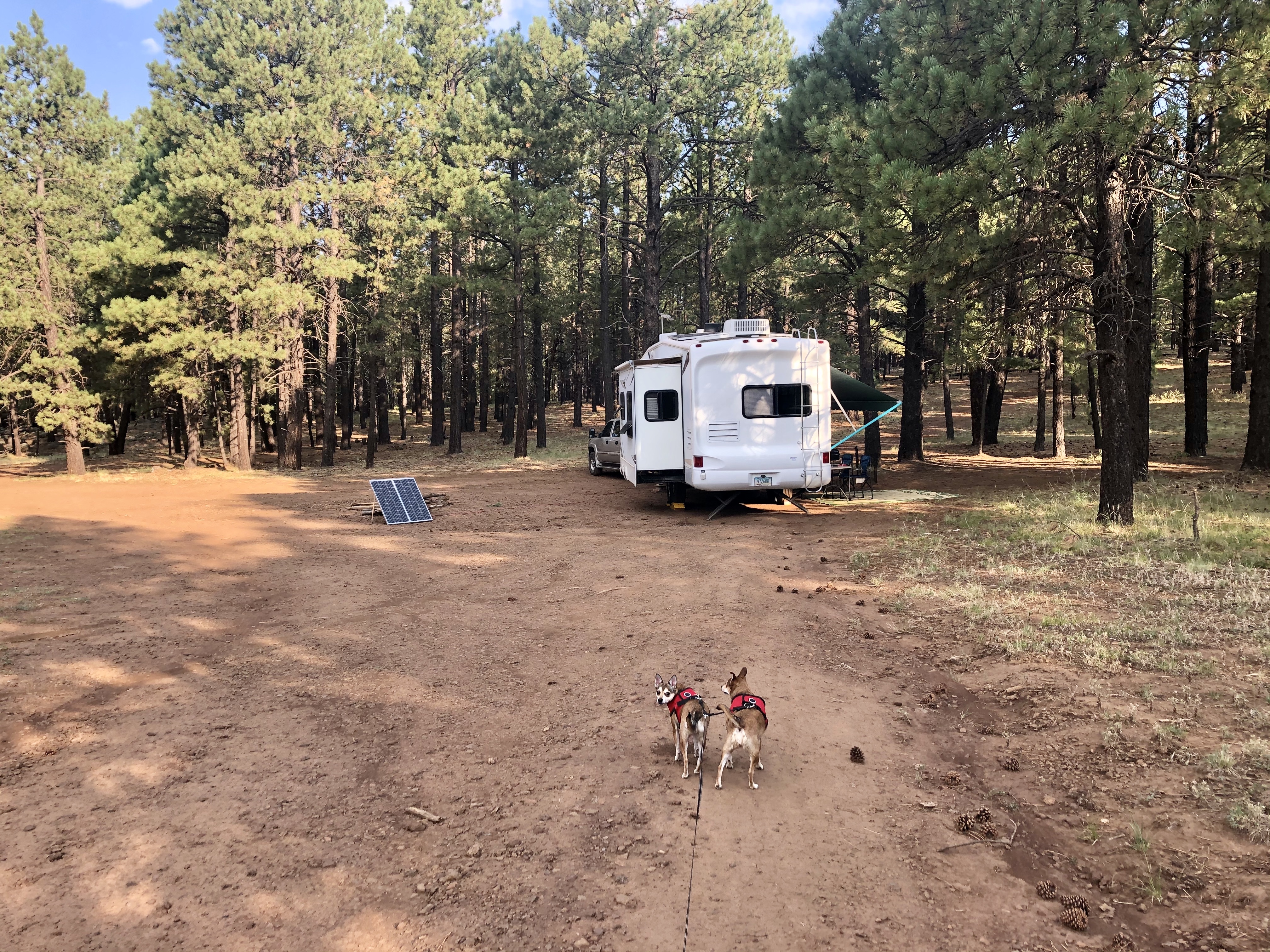 Forest Road 794 Dispersed Camping