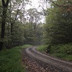 Michaux state forest