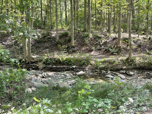 Chautauqua Gorge State Forest Campground photo 2
