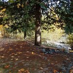 Silver skagit road turnout