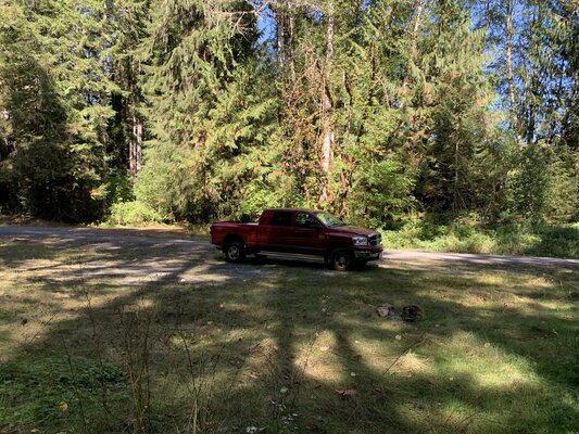 Woods Creek Wildlife Dispersed Camping photo 2