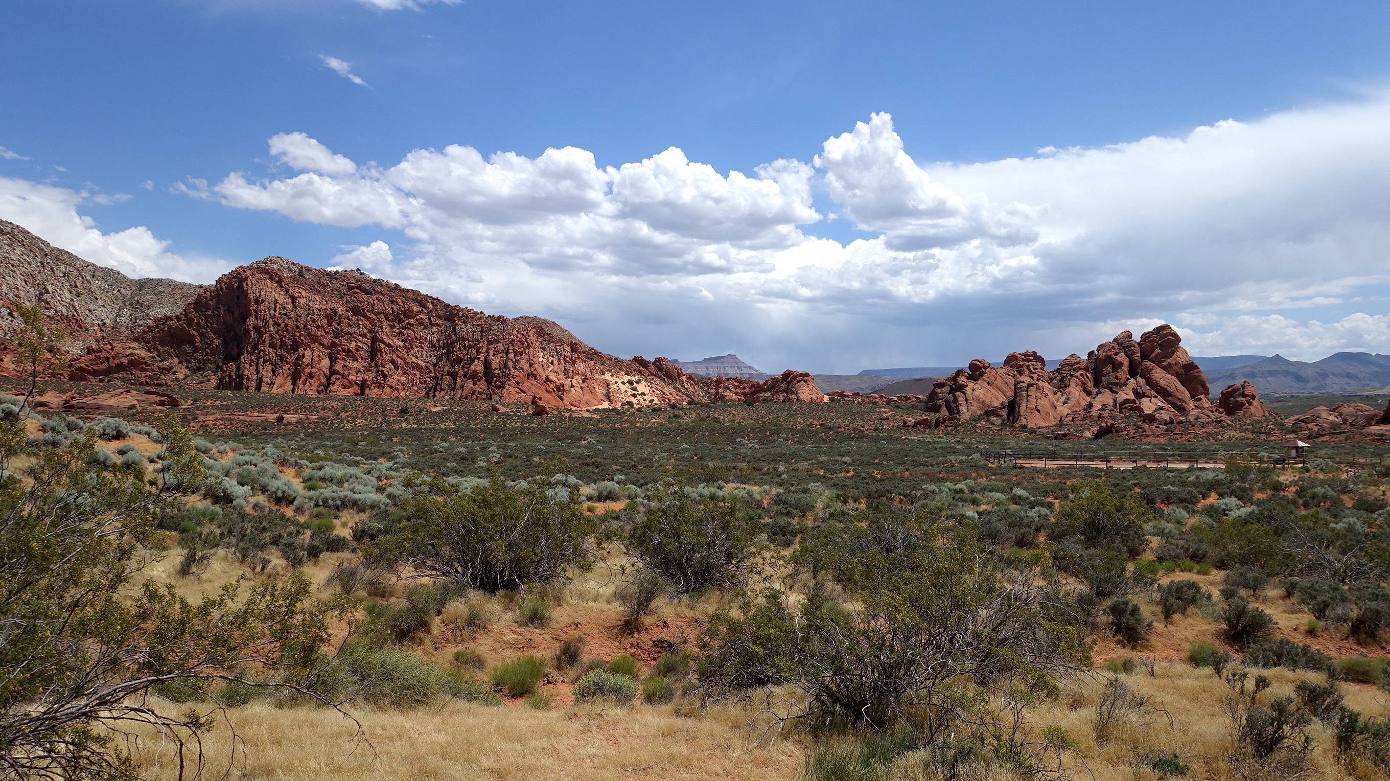 Sand Cove Primitive Camping Area - Main photo