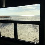 Holly beach
