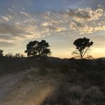 Forest road 242