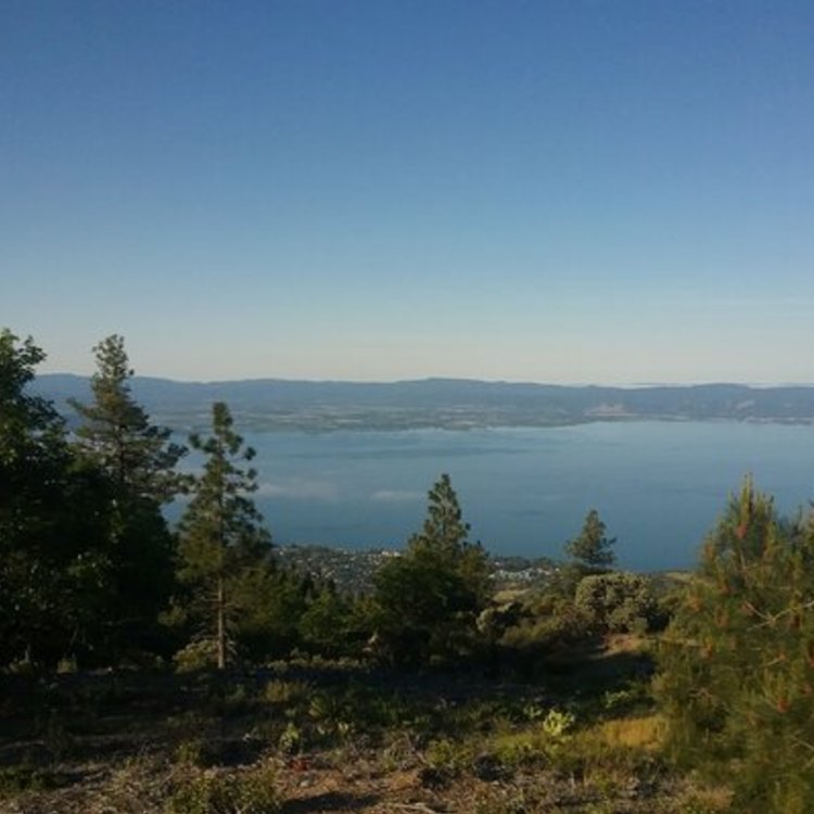 Clear Lake View