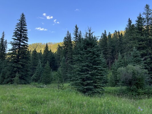 Hanna Road Dispersed Camping photo 2
