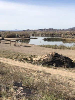Cibola-Colorado River Camping Area photo 2