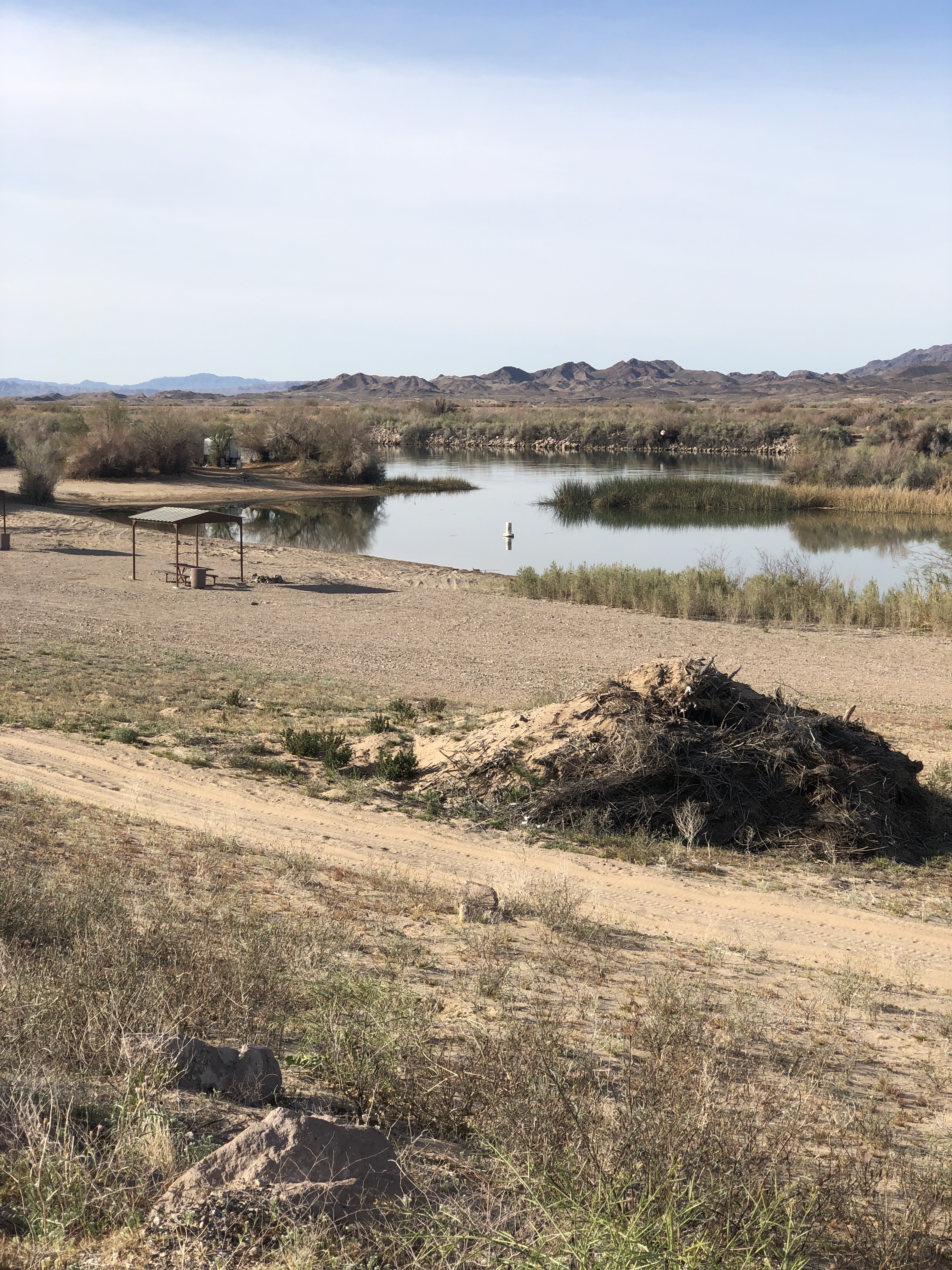Cibola-Colorado River Camping Area