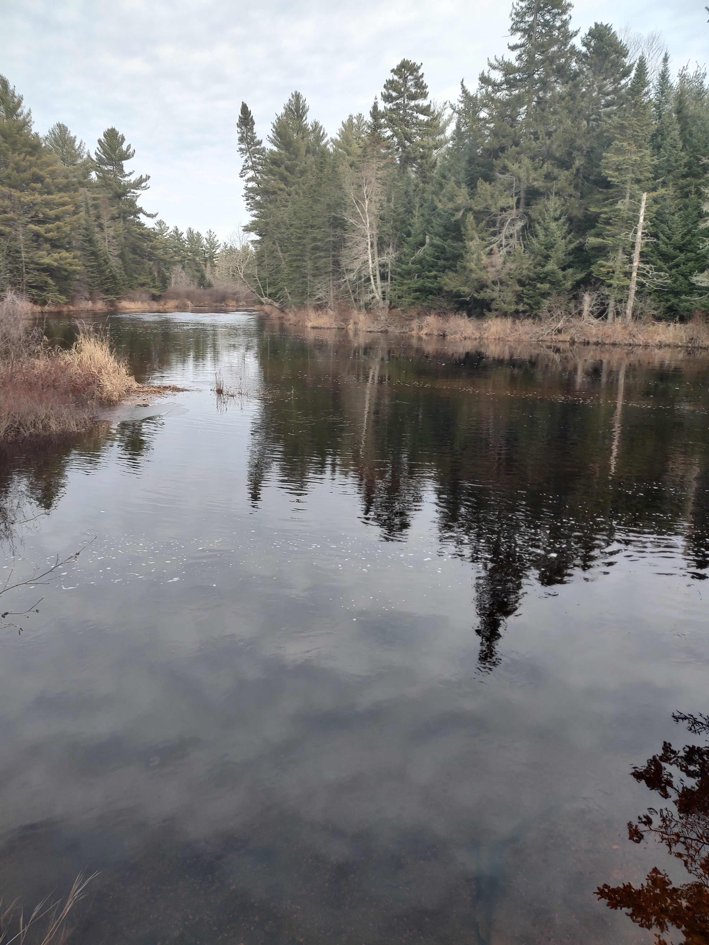 Log Landing Campsite