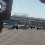 Batavia downs