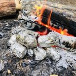 East otto state forest campground