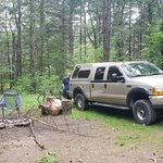 Evergreen pond