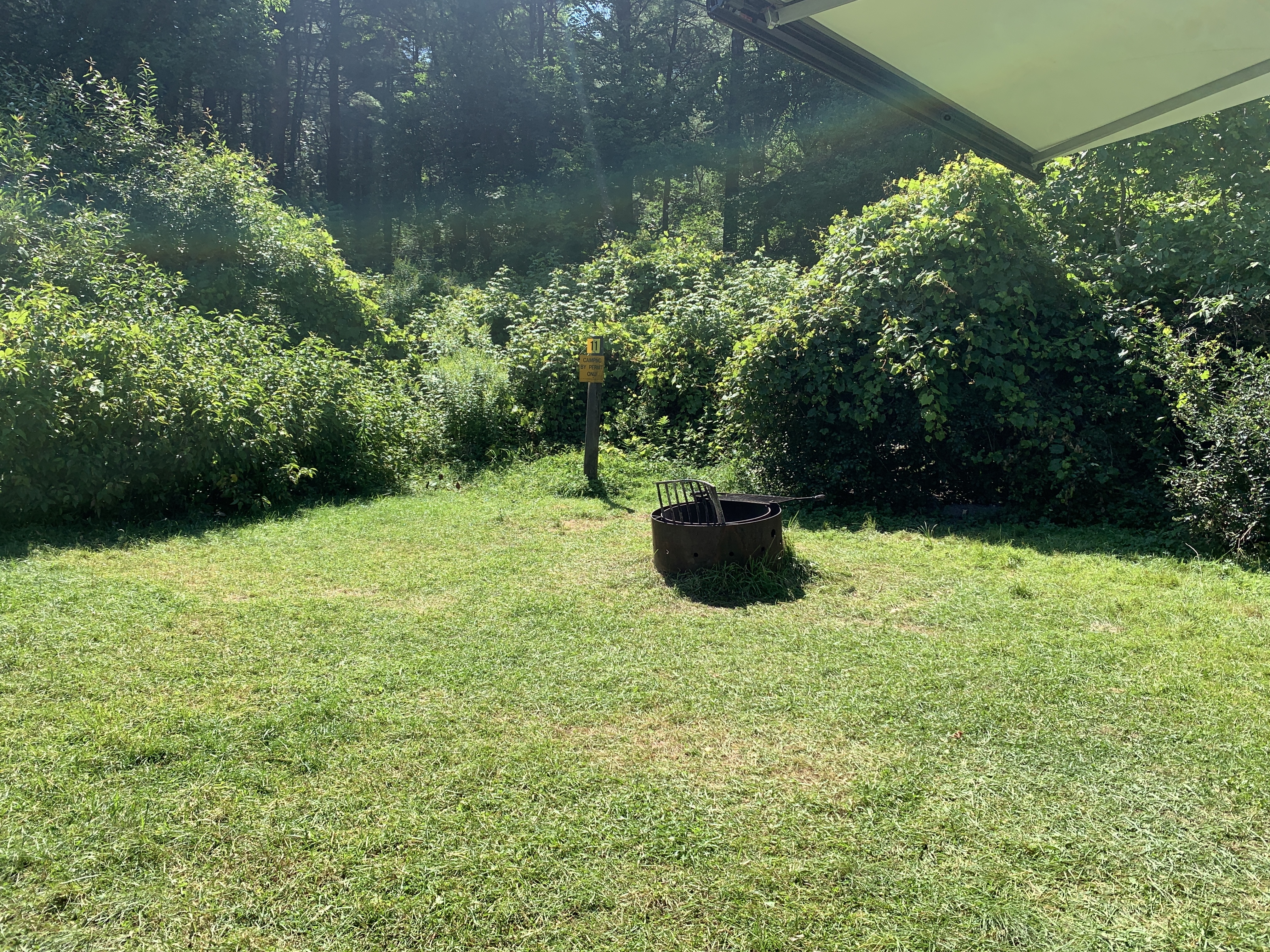 Stoney Pond Designated Dispersed Camping