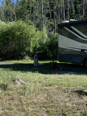 Beaverdam Campground photo 2