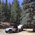 Bear trap campground
