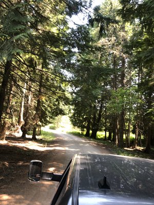 Big Eddy Campground photo 2