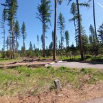 Big larch campground