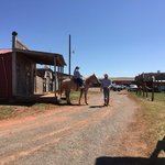 Flying w guest ranch