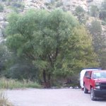 Gila hot springs campground