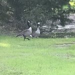Cedar oaks rv park texas
