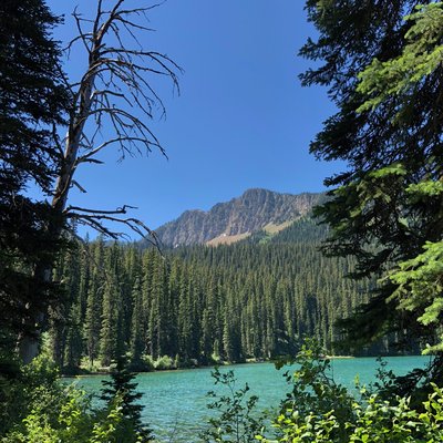 Big Therriault Lake Campground photo 2