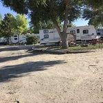 Captain critters country campground
