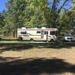 Willard springs road