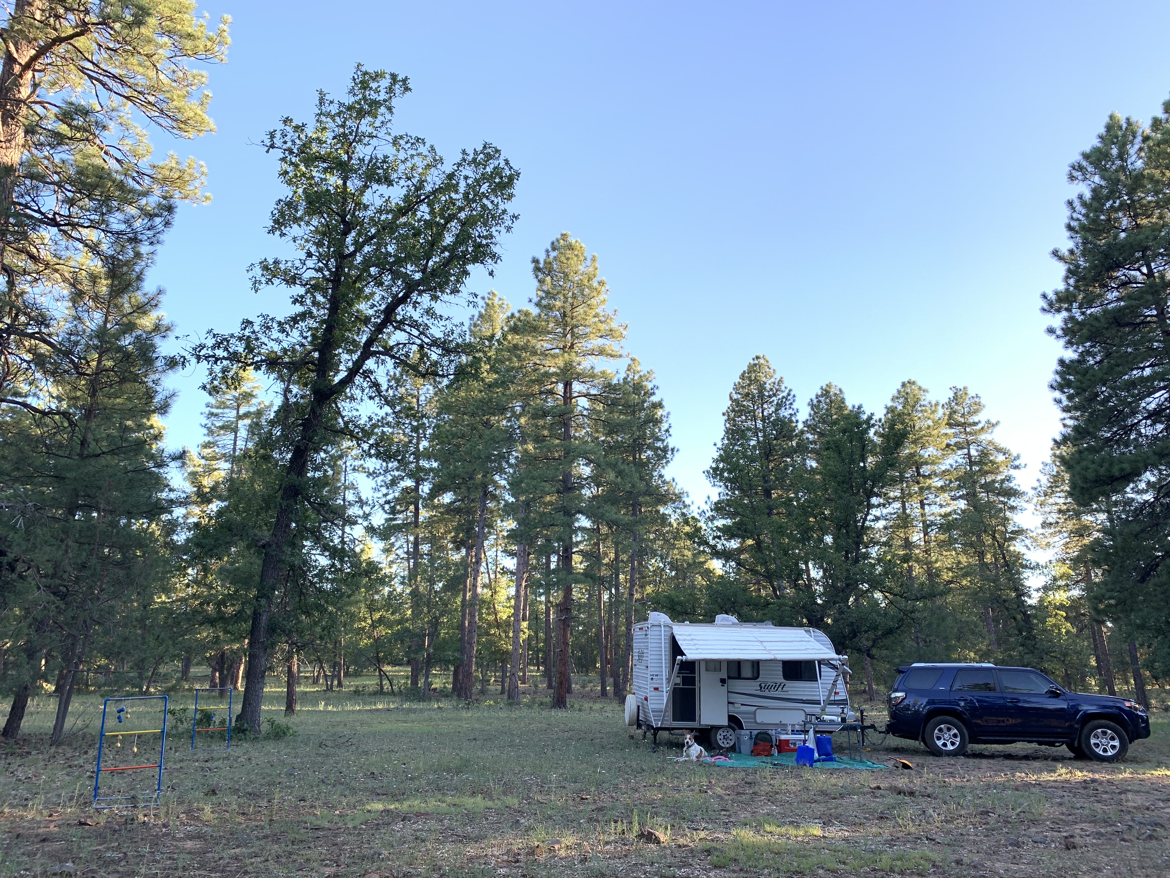 Willard Springs Road Dispersed Camping