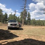Forest road 226 dispersed