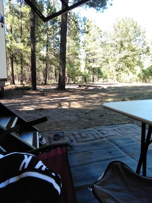 Forest Road 616 Dispersed Camping photo 2