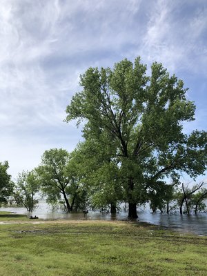 Boulder Bluff Area