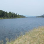 Bull river