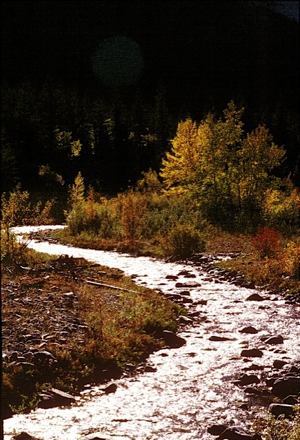 Bynum Reservoir Fishing Access Site