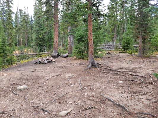 Long Draw Designated Dispersed Campsite #1-3
