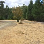 Skull creek campground
