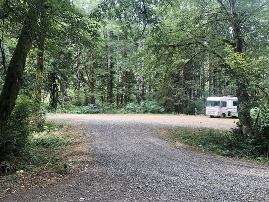 Cook Creek Designated Campsites