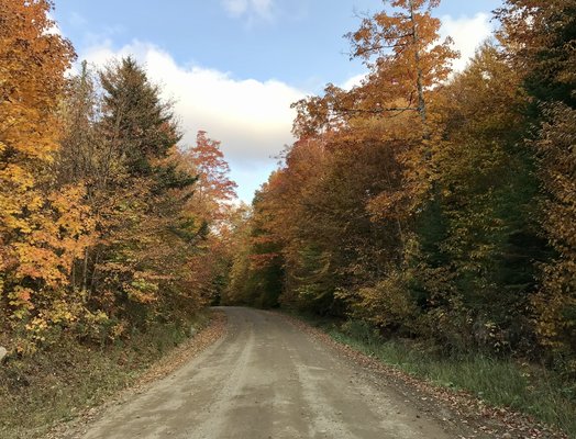 Jessup River Road